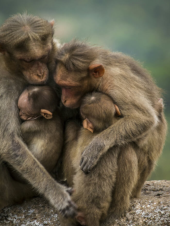 What Love Means: The world's best photos of #Love2019 by AGORA images