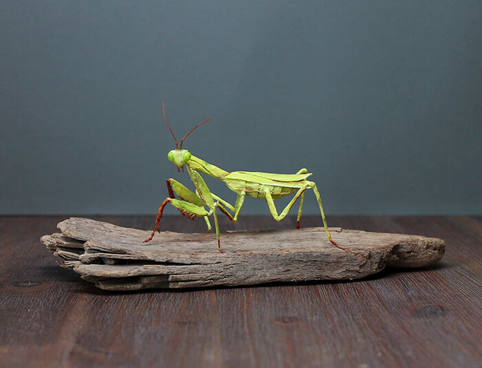 Realistic Animals, Insects and Plants Made Of Crepe Paper