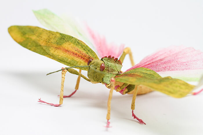 Realistic Animals, Insects and Plants Made Of Crepe Paper - Design Swan