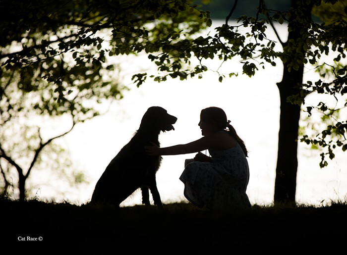 Winning Photos of 2019 Dog Photographer of the Year Contest