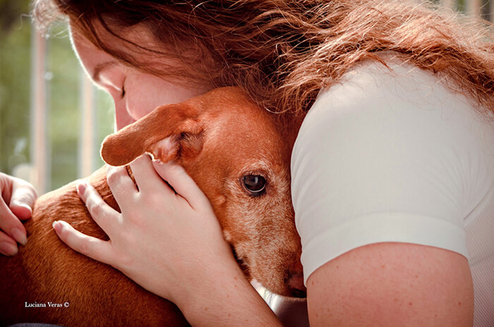 Winning Photos of 2019 Dog Photographer of the Year Contest