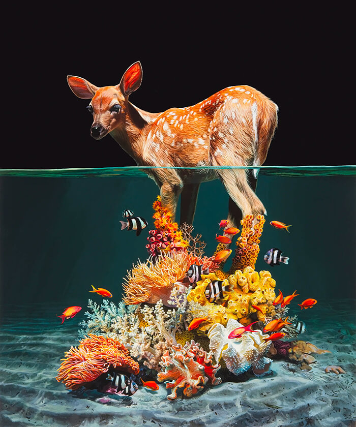 Hyper-realistic Depictions of Animal Blending by Lisa Ericson