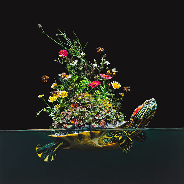 Hyper-realistic Depictions of Animal Blending by Lisa Ericson