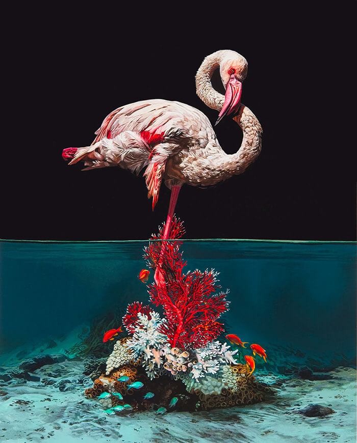 Hyper-realistic Depictions of Animal Blending by Lisa Ericson