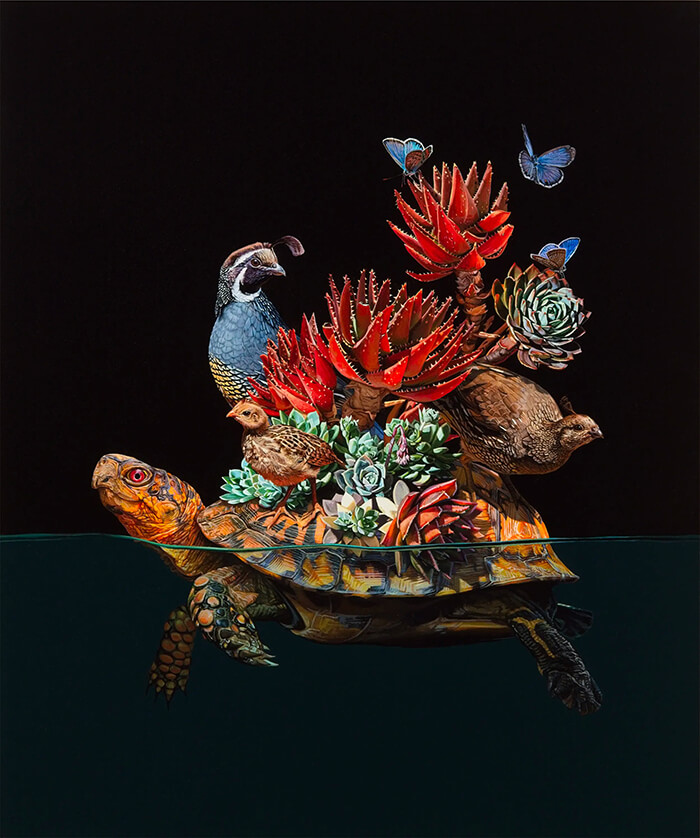 Hyper-realistic Depictions of Animal Blending by Lisa Ericson