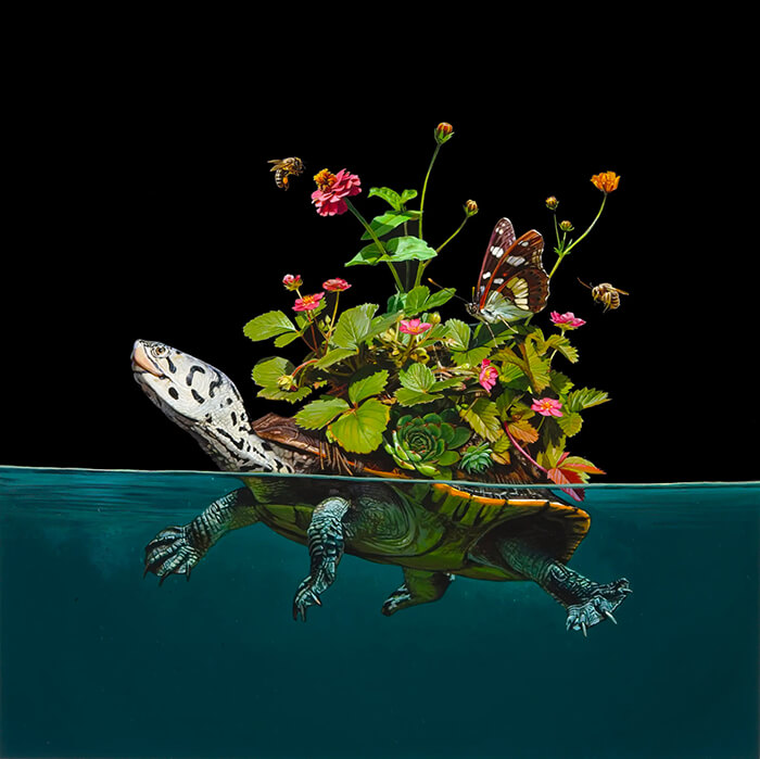 Hyper-realistic Depictions of Animal Blending by Lisa Ericson