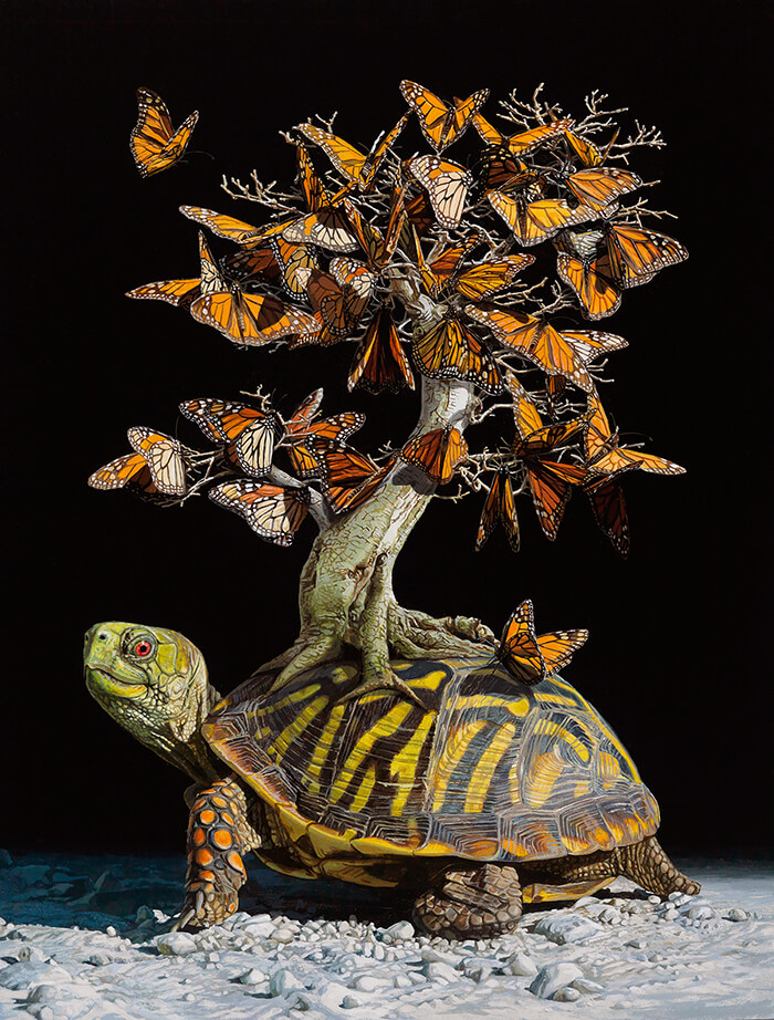 Hyper-realistic Depictions of Animal Blending by Lisa Ericson