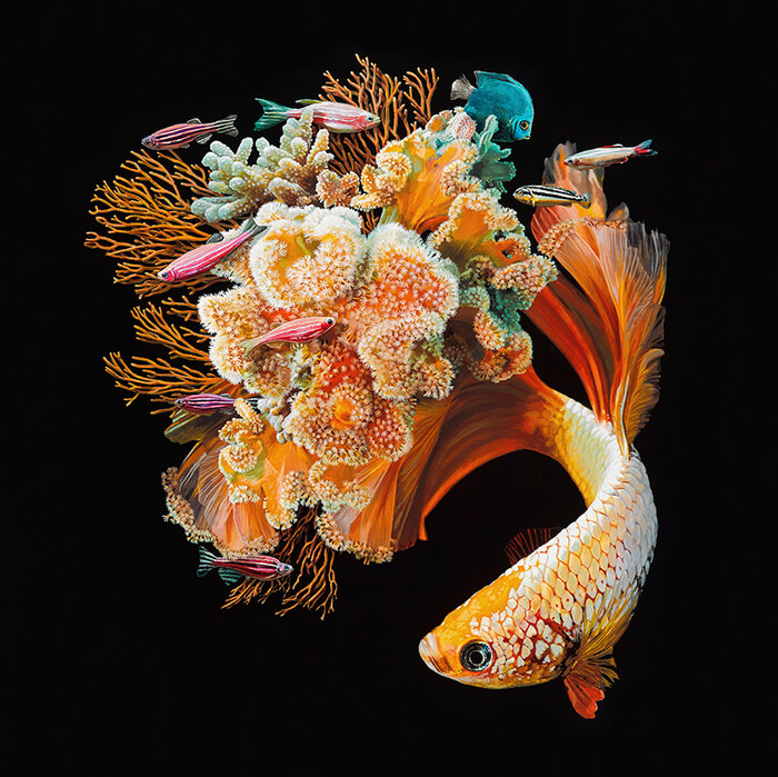 Hyper-realistic Depictions of Animal Blending by Lisa Ericson