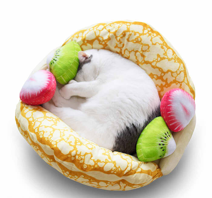 Your Cat Can Sleep Anywhere and Now They can Sleep on Crepe Omelet as Well