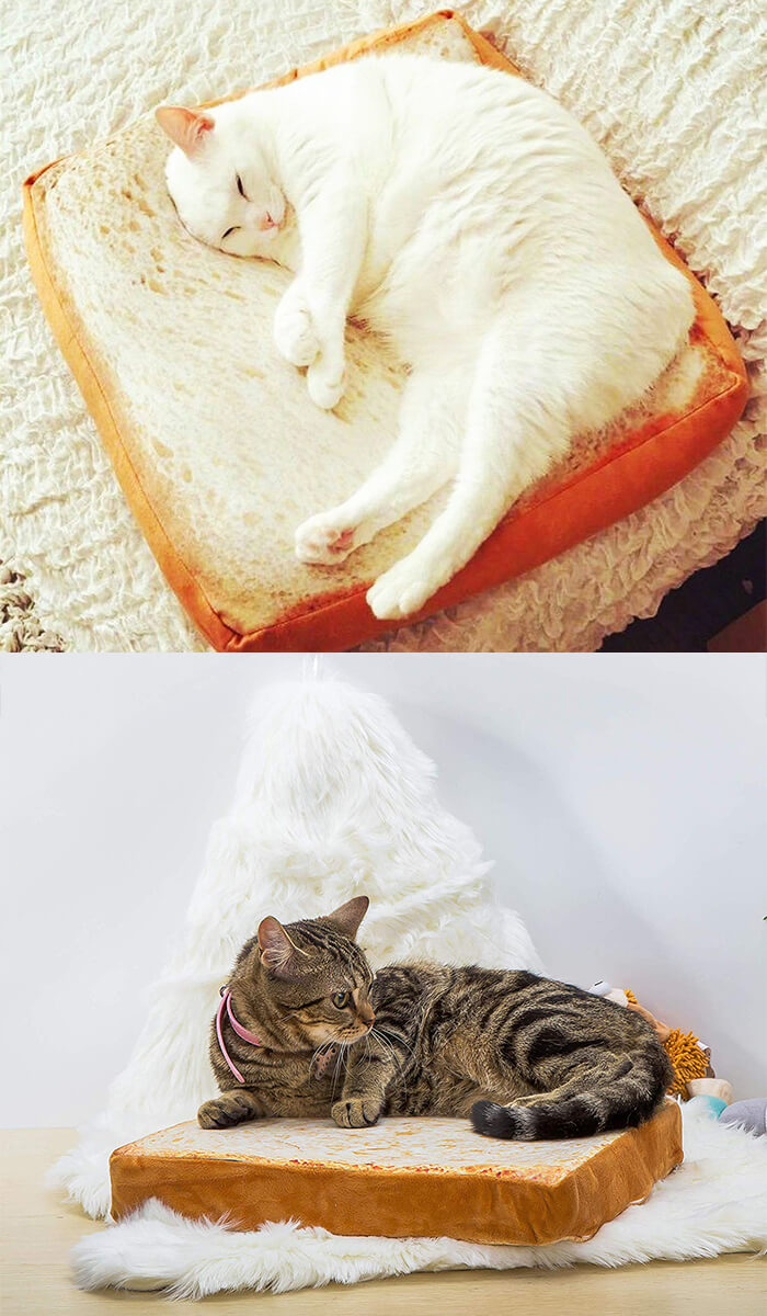 7 Playful and Delicious Food Shape Pet Bed