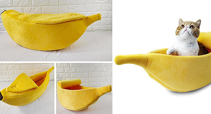 7 Playful and Delicious Food Shape Pet Bed