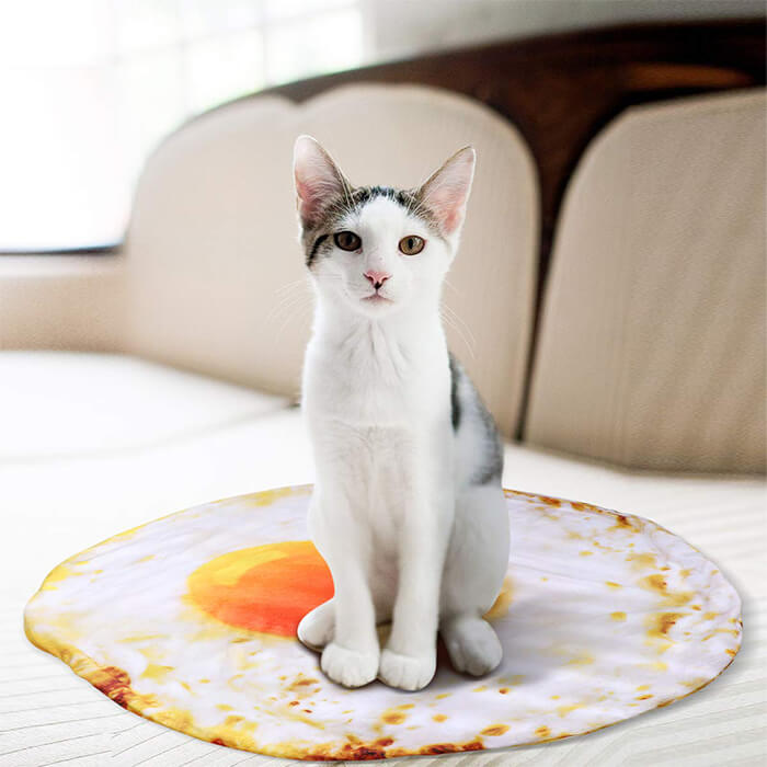 7 Playful and Delicious Food Shape Pet Bed