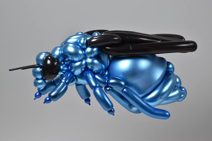 Eye-Popping Balloon Animals by Masayoshi Matsumoto