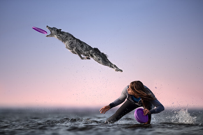 Dog In Action! Gravity-Defying Photos of Determined Dogs in Mid-Air