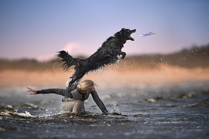 Dog In Action! Gravity-Defying Photos of Determined Dogs in Mid-Air