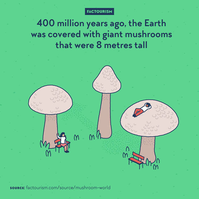 Clever Illustration About the Most Fascinating Facts of Our World