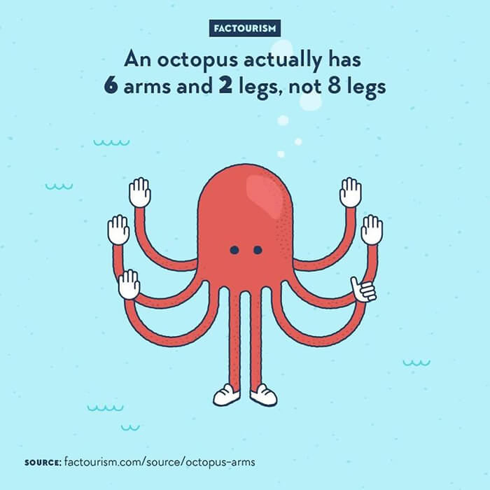 Clever Illustration About the Most Fascinating Facts of Our World