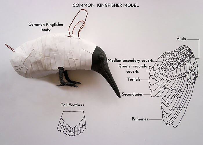 Hyper-realistic Hand-Built Paper Birds by Niharika Rajput
