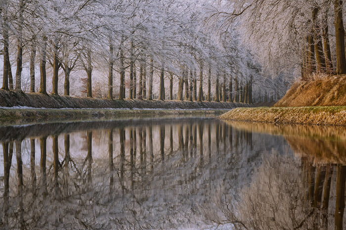 Stunning Tree Photographs from All Seasons by Martin Podt