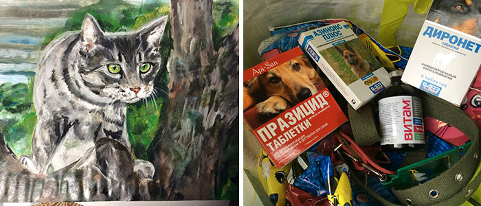 9-Year-Old Boy Paint Custom Pet Portrait in Exchange for Pet Food and Supplies for Shelter Animal