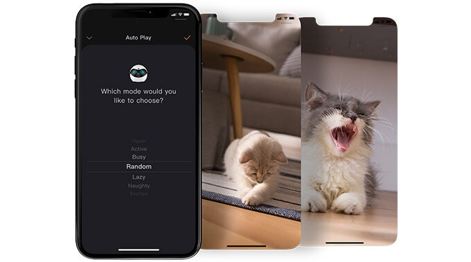 EBO: the Smart Robot that Keeps Your Cat Happy When You're Not Around