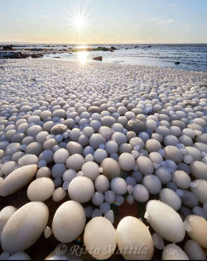 Photo Shows Finland Beach Covered in Rare 'Ice Eggs