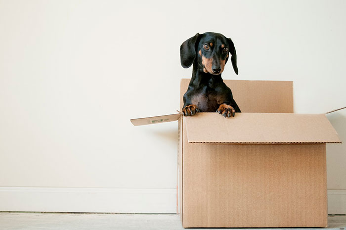 Top Tips For A Long Distance Move
