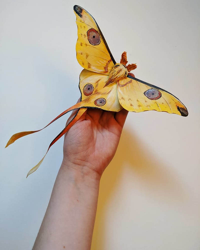 Realistic Butterflies, Moths and Beetles Made of Paper by Kerilynn ...