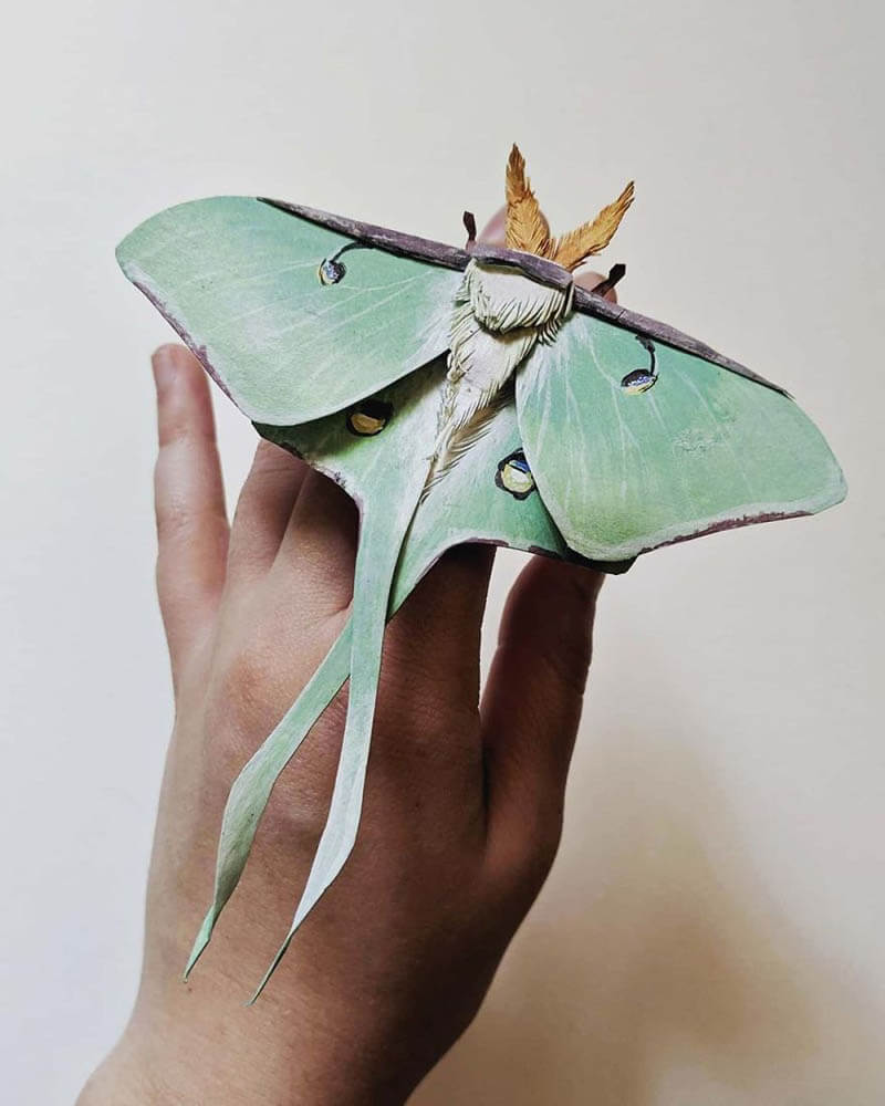 Realistic Butterflies, Moths and Beetles Made of Paper by Kerilynn ...