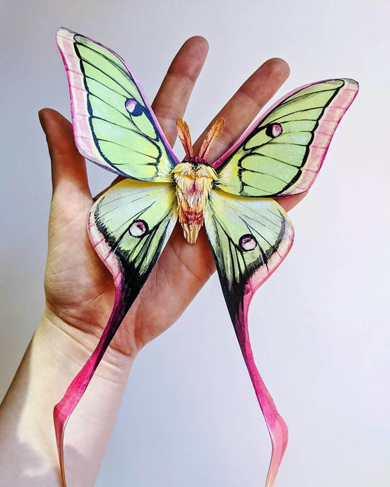 https://img.designswan.com/2020/06/butterfly/7.jpg