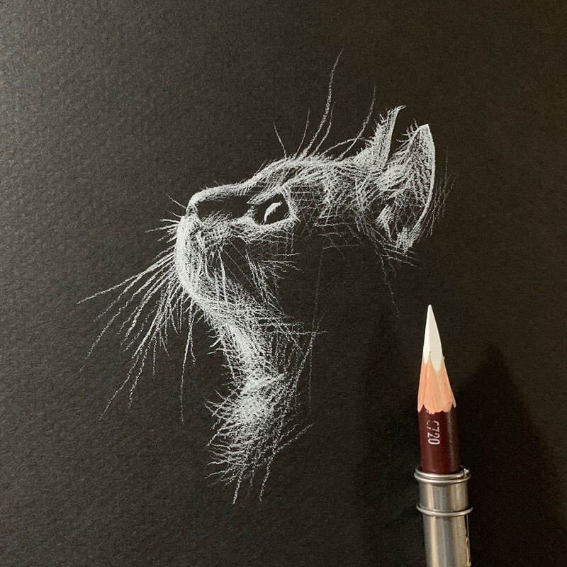 Easy Cat Drawing on Black Paper, Black and White Drawing, Black Paper  Drawing