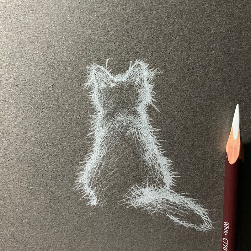 easy white pencil drawing