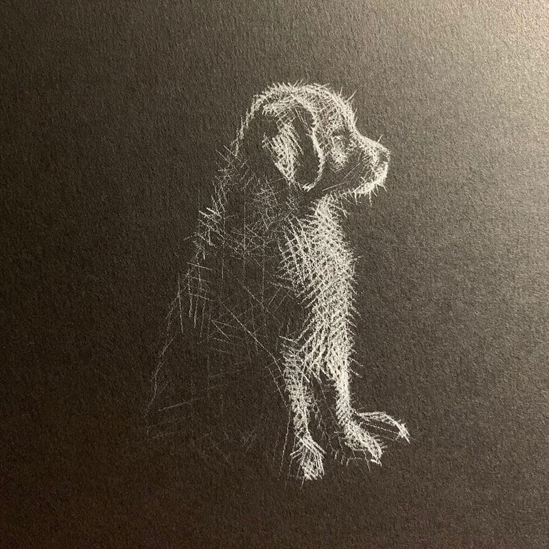 White Pencil on Black Paper: A Perfect Way to Draw Gently Lit Faces -  Design Swan