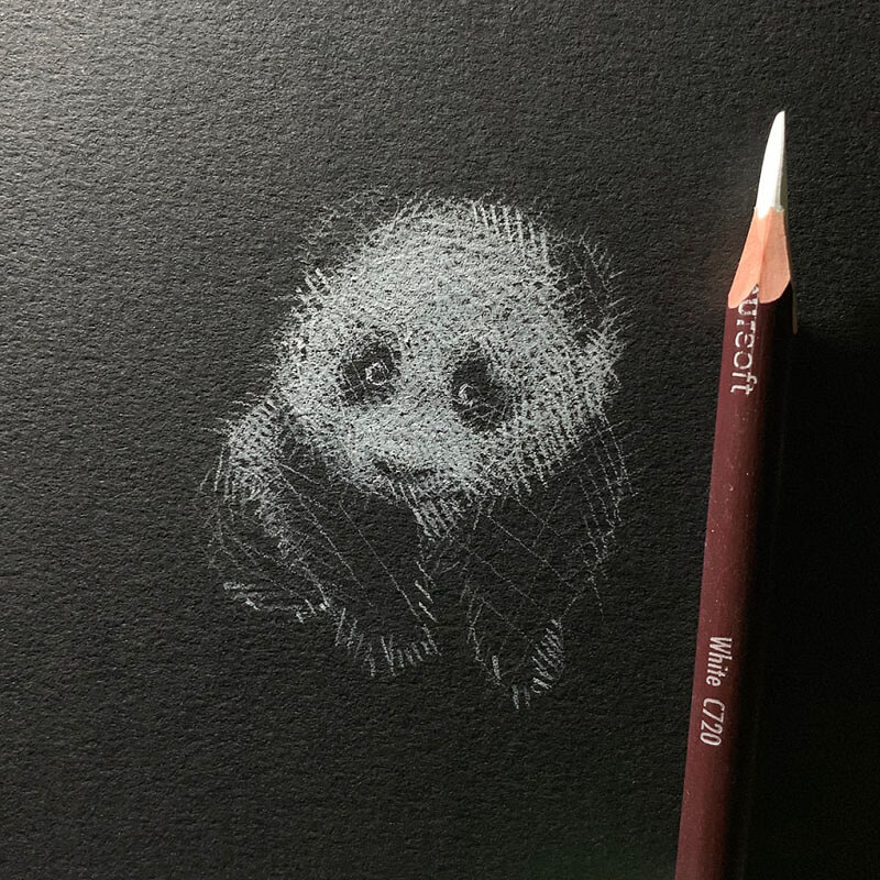 Drawing on black paper store with white pencil