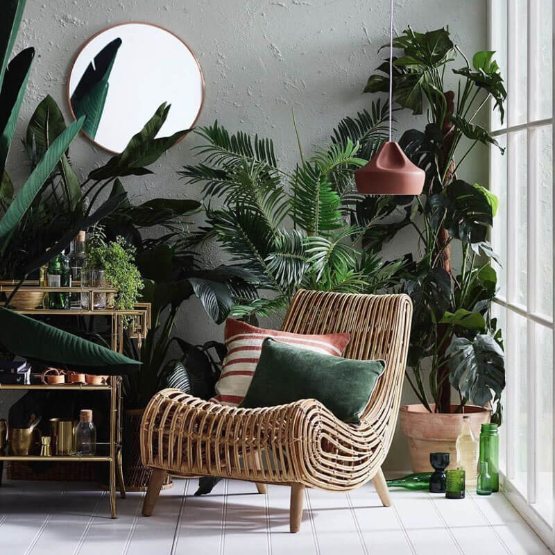 tropical decorating creative decor interior estilo credit temple plants choose templeandwebster