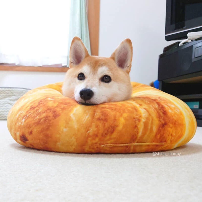 Shiba best sale inu bed