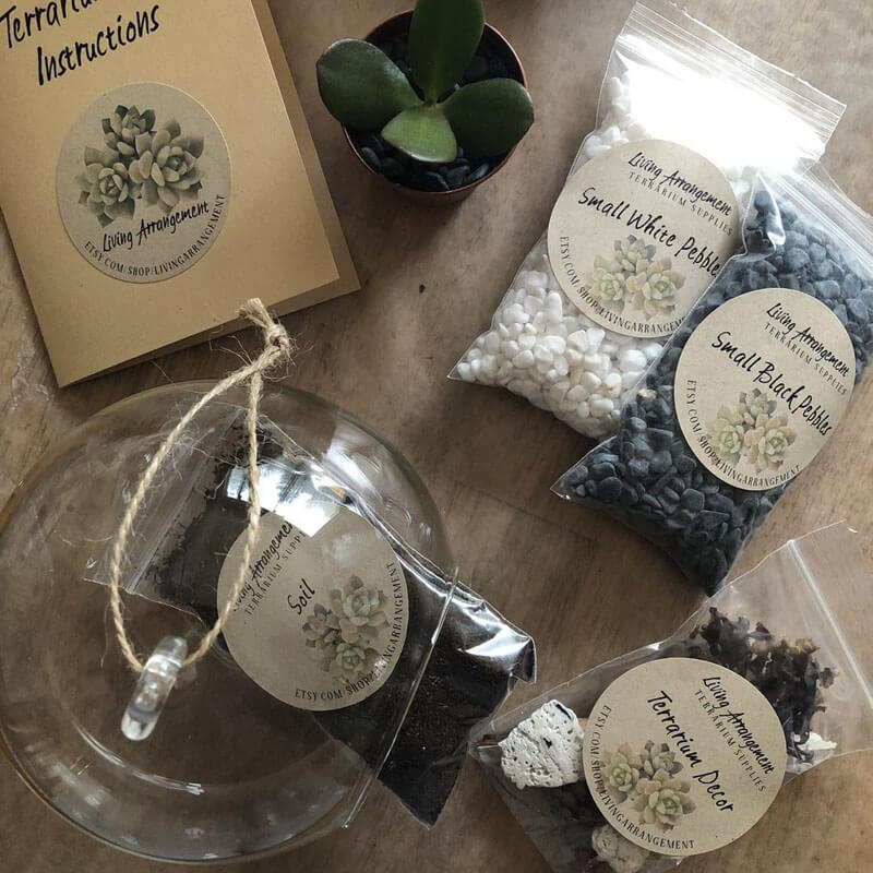 Quartz Little Mountain Terrarium Kit by Green Mountain Moss - Live Moss  Terrarium, Terrarium Kit, Terrarium Self Sustaining Kit DIY