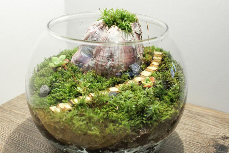 Quartz Little Mountain Terrarium Kit by Green Mountain Moss - Live Moss  Terrarium, Terrarium Kit, Terrarium Self Sustaining Kit DIY