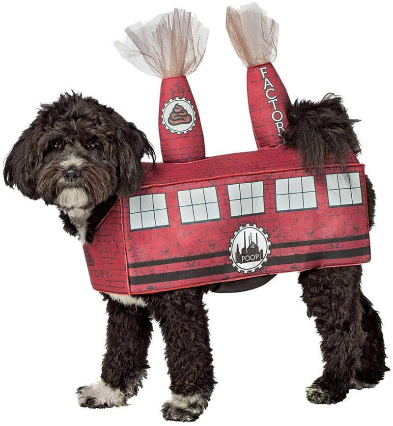 10 Hilarious Dog Costumes Help Your Pet Be the Eye-catcher - Design Swan