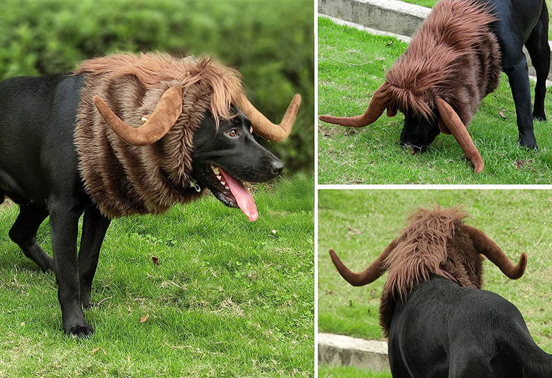 Moose shop dog costume