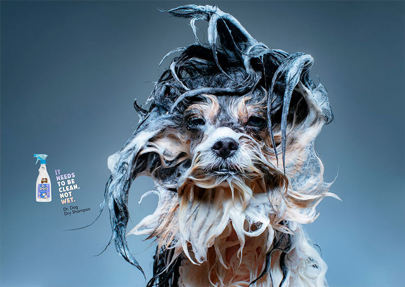 Hilarious Dog Shampoo Ads - Design Swan