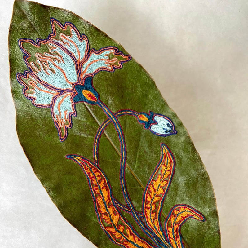 Botanic Embroideries on Dried Leaf by Hillary Waters Fayle - Design Swan
