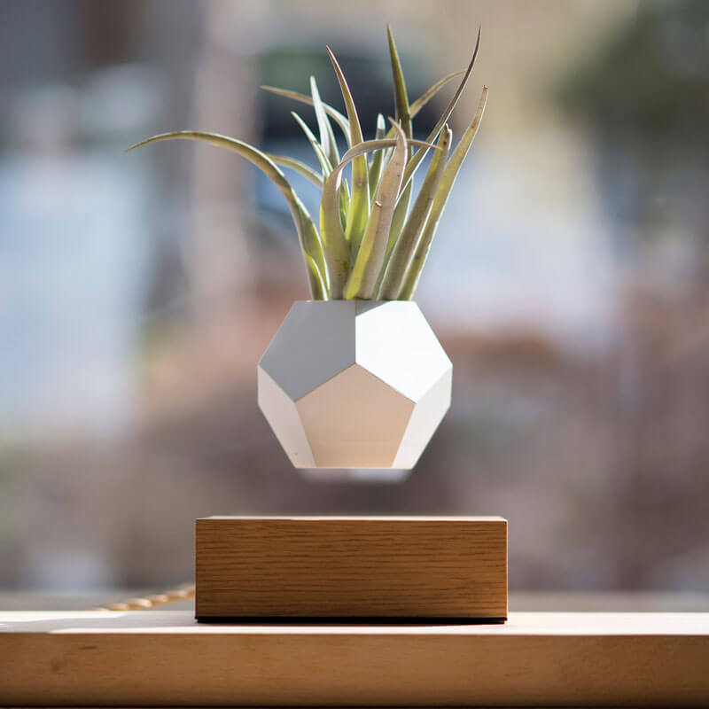 9 Super Cool Levitating Products to Upgrade Your Home Decor - Design Swan