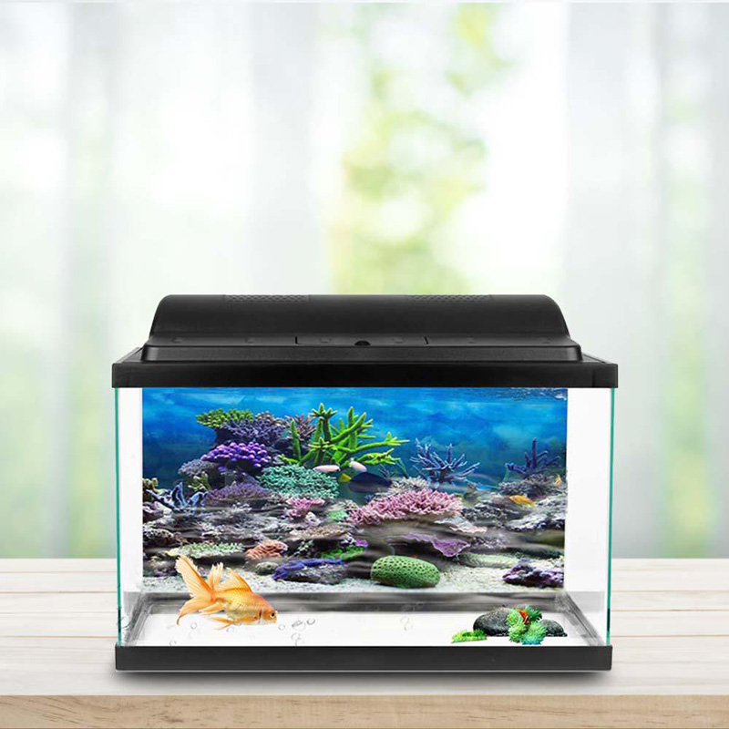 Decorating Your Aquarium