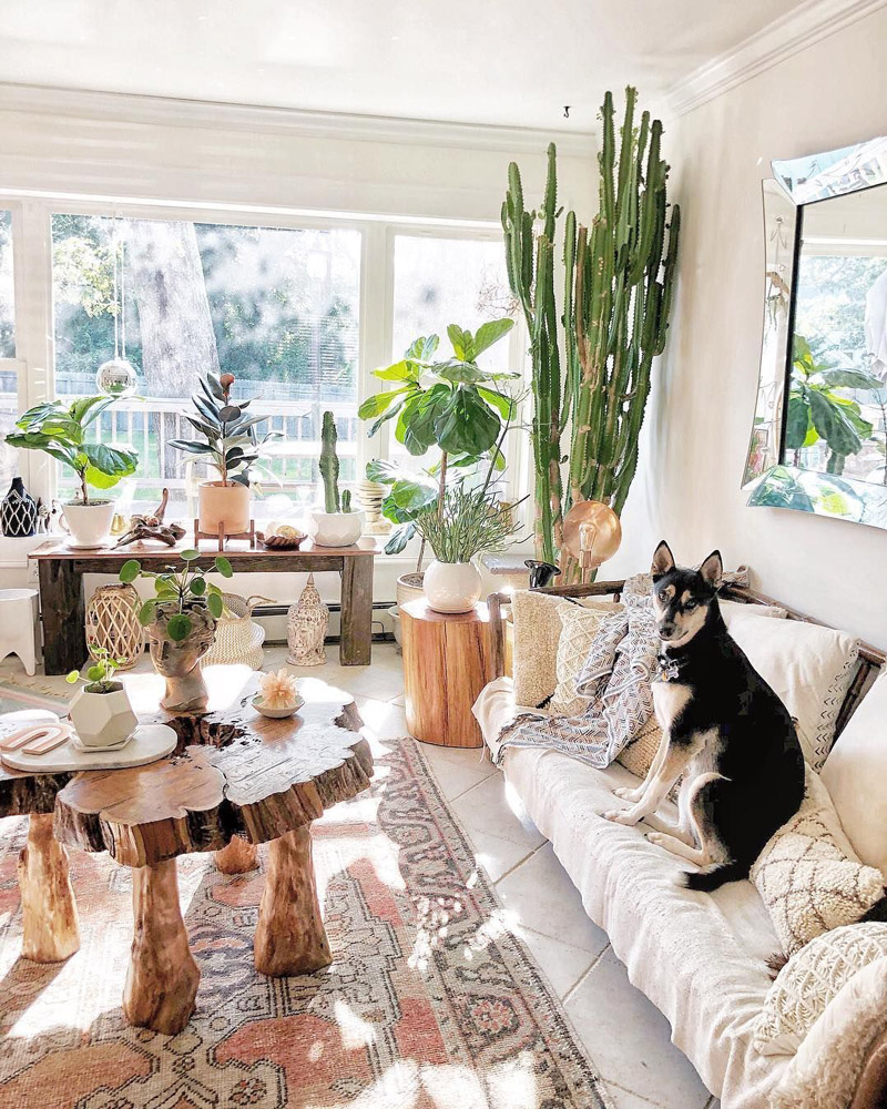 Bohemian Interior Design: 7 Best Tips For Creating Seamless Boho Style