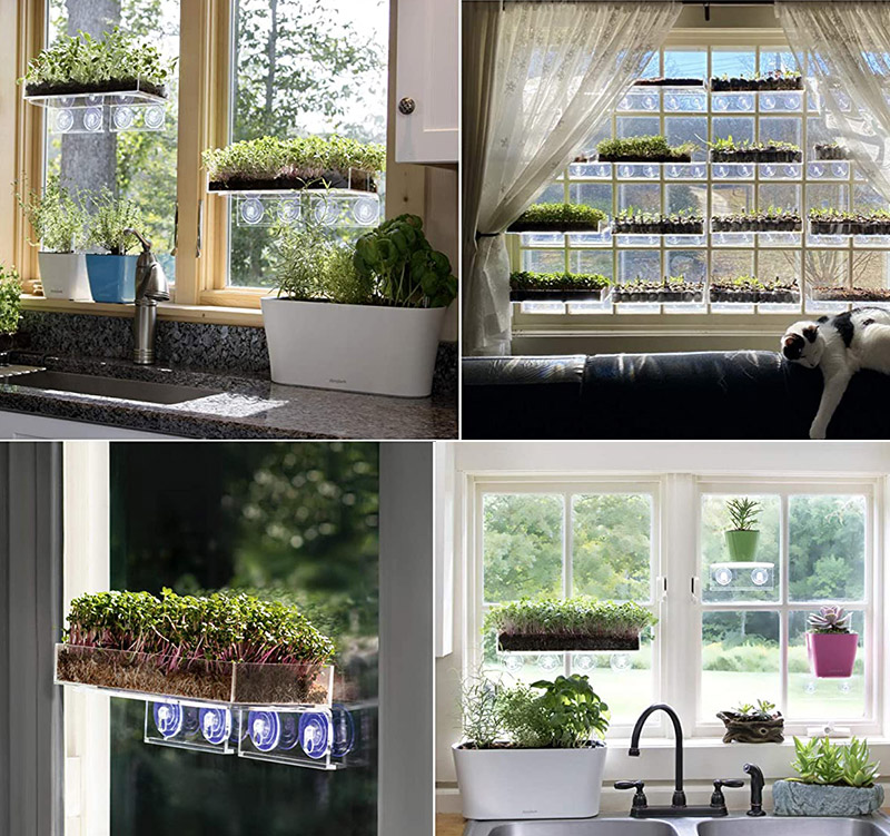 Window Garden + Double Veg Ledge Suction Cup Window Shelf