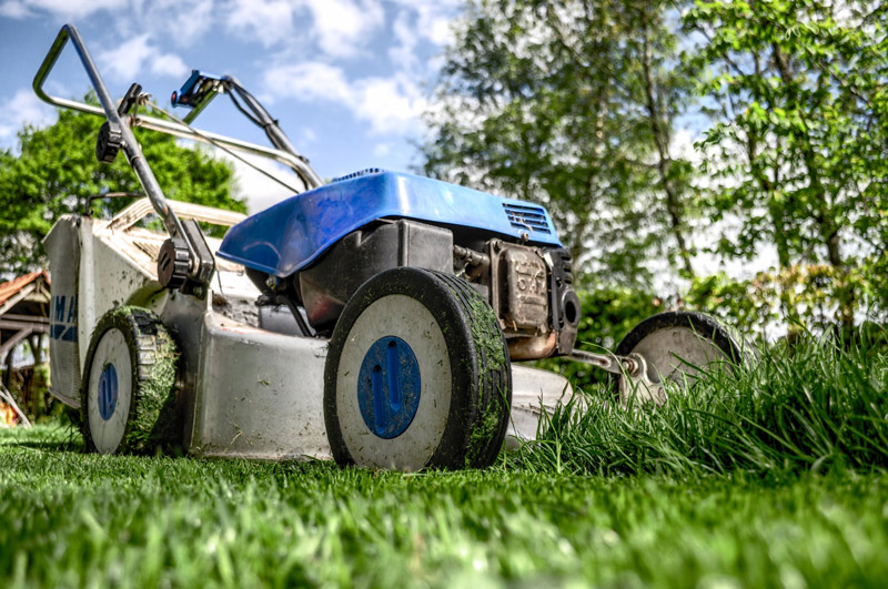 Easy Tips and Safety Measures for Mowing a Steep Hill Design Swan