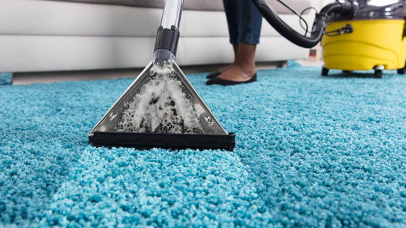 Carpet Cleaning Wet Vacuum  