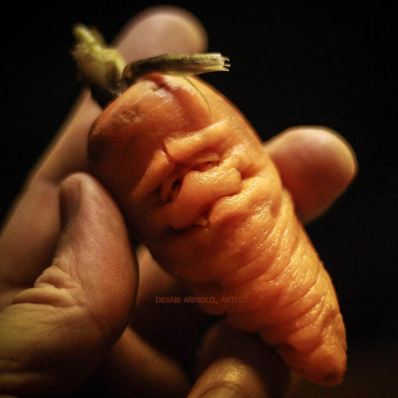 Stunning Photos and Carrots Carving by Deane Arnold - Design Swan