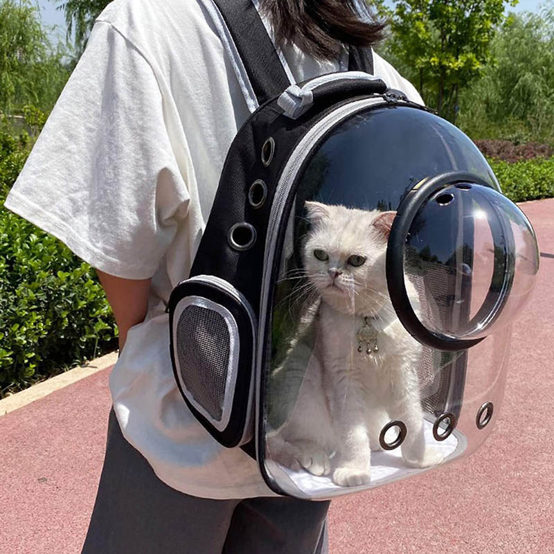 Creative Cat Carrier: Bubble Backpack - Design Swan